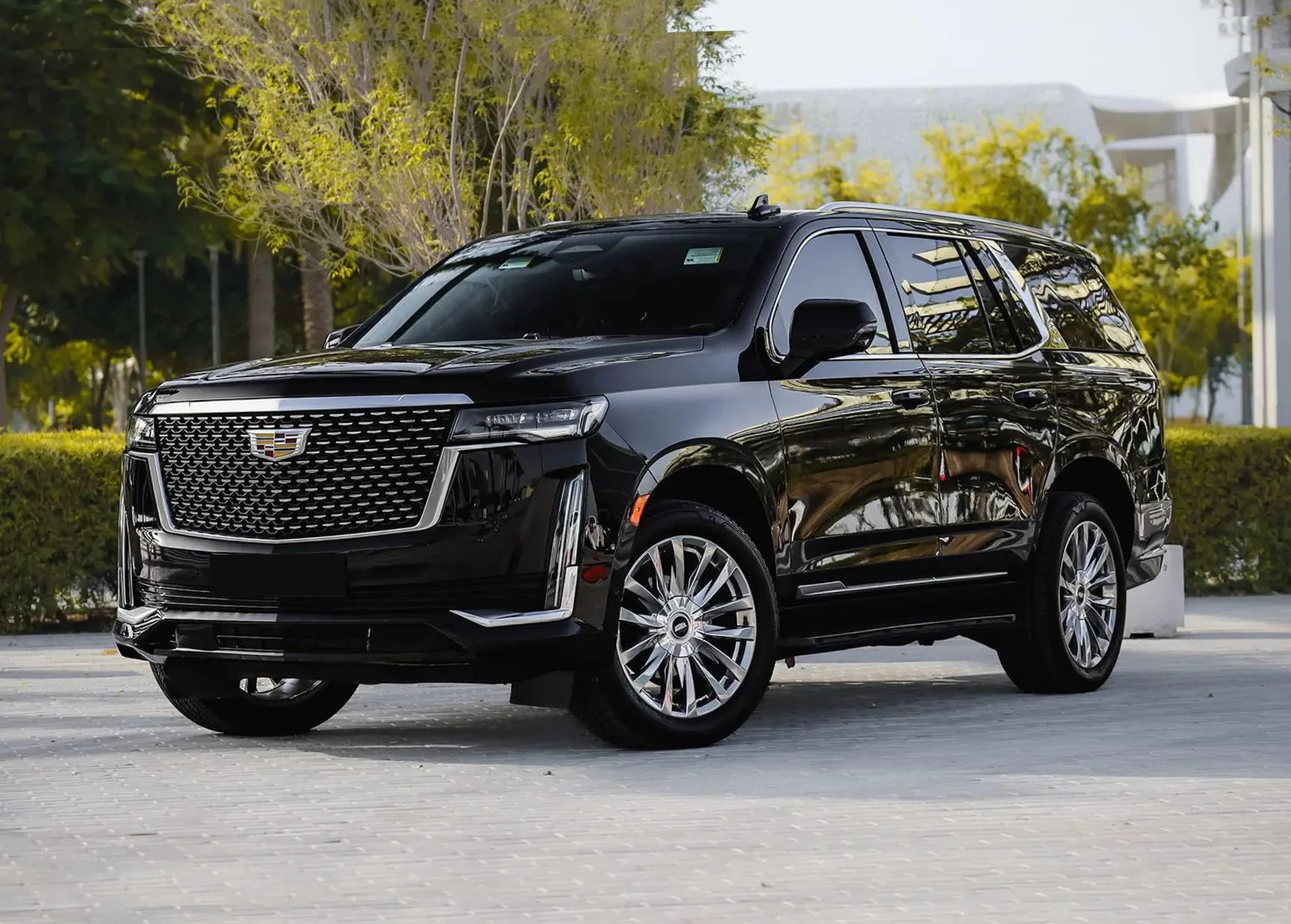 Home Untitled design - 2026-03-01T212639.110