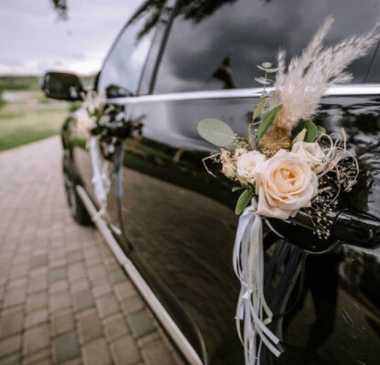 Nassau Weddings and Events Transportation