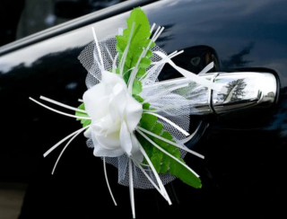 Luxury wedding transportation in Nassau Bahamas