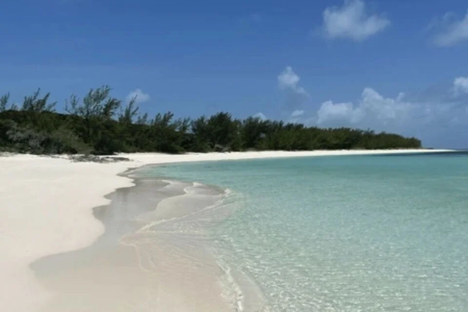 Snorkeling Date at Rose Island