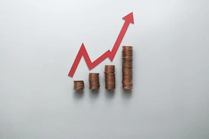 Overlooking Vehicle Options and Fleet Condition