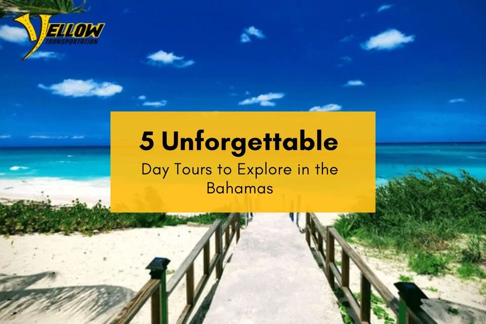 In this blog we are discussing 5 unforgettable day tours in Bahamas.