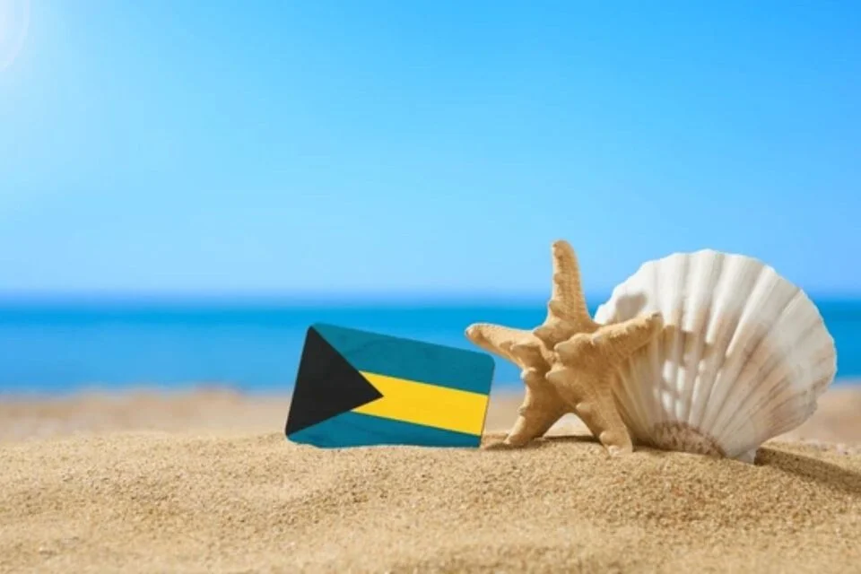 Big Bus Private Tour